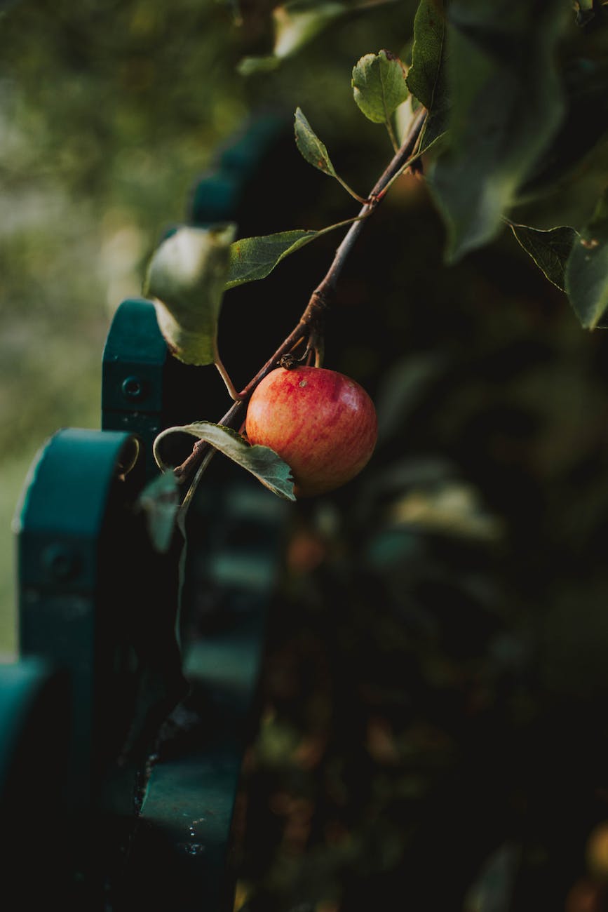 Hierarchy of the Perpetrators: an Analysis on the Garden of&nbsp;Eden