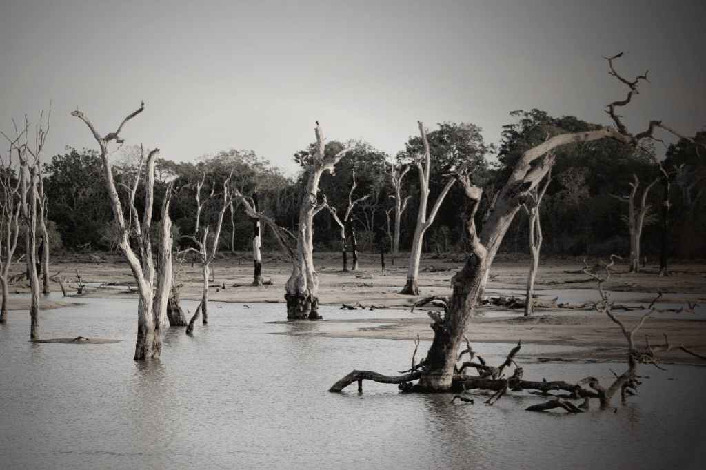 The Worldwide Flood and Contrasting&nbsp;Ethics